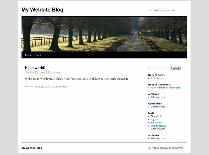 Image result for new wordpress site standard theme